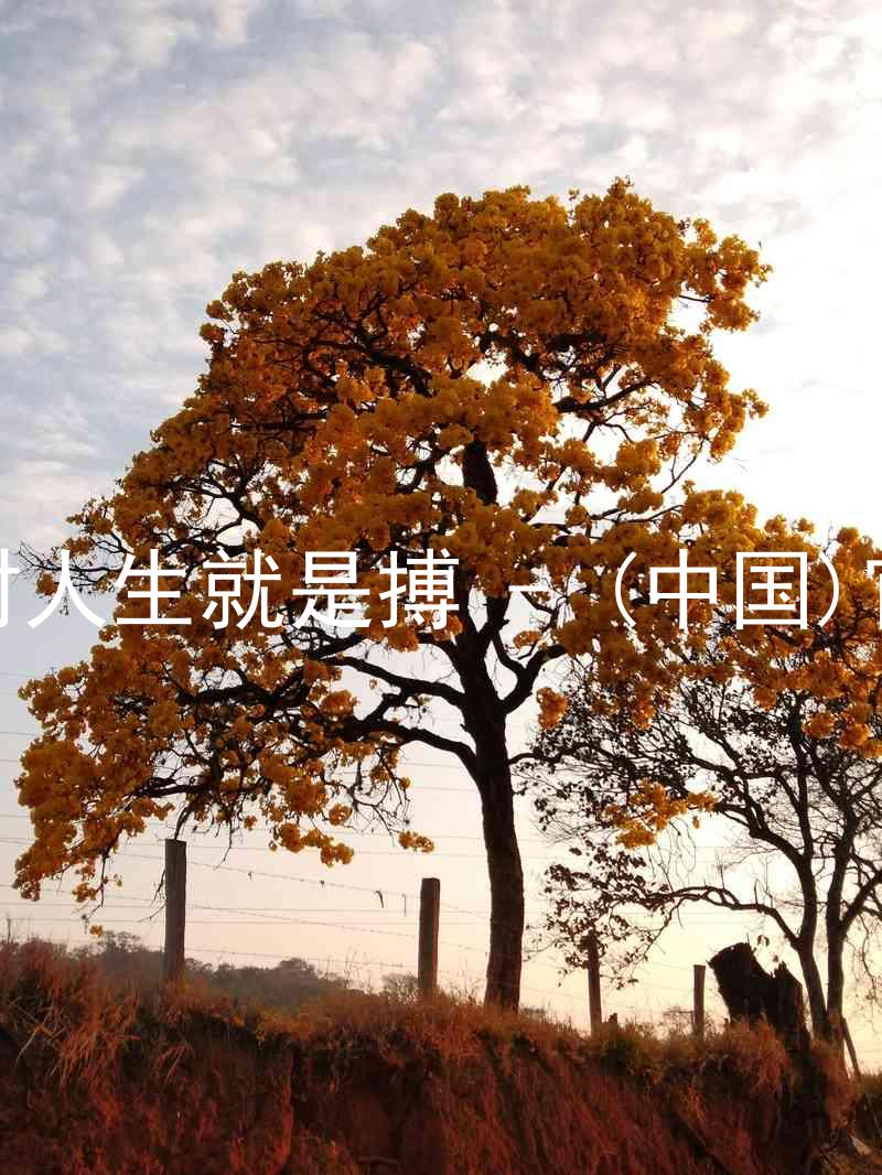 尊龙凯时人生就是搏 - (中国)官方网站
